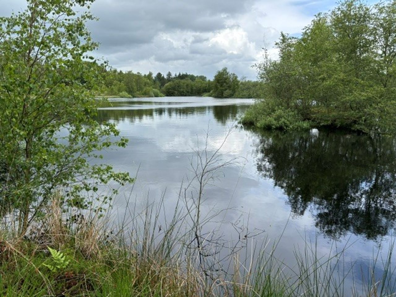 image 03